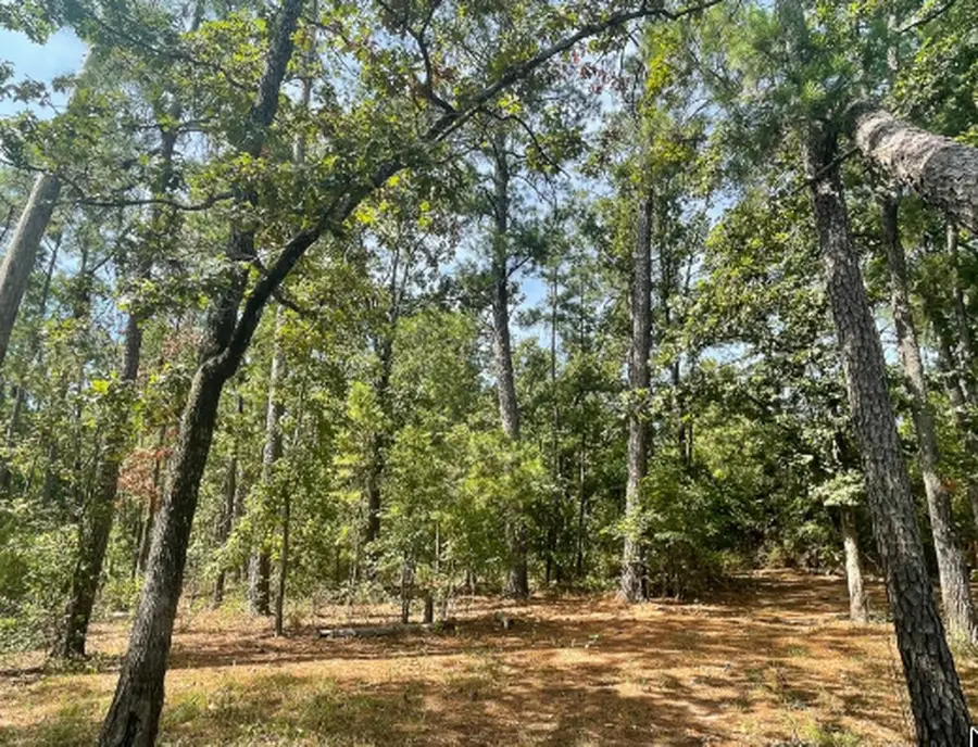 750 Private Road 8551, Broaddus, TX 75929 - #2