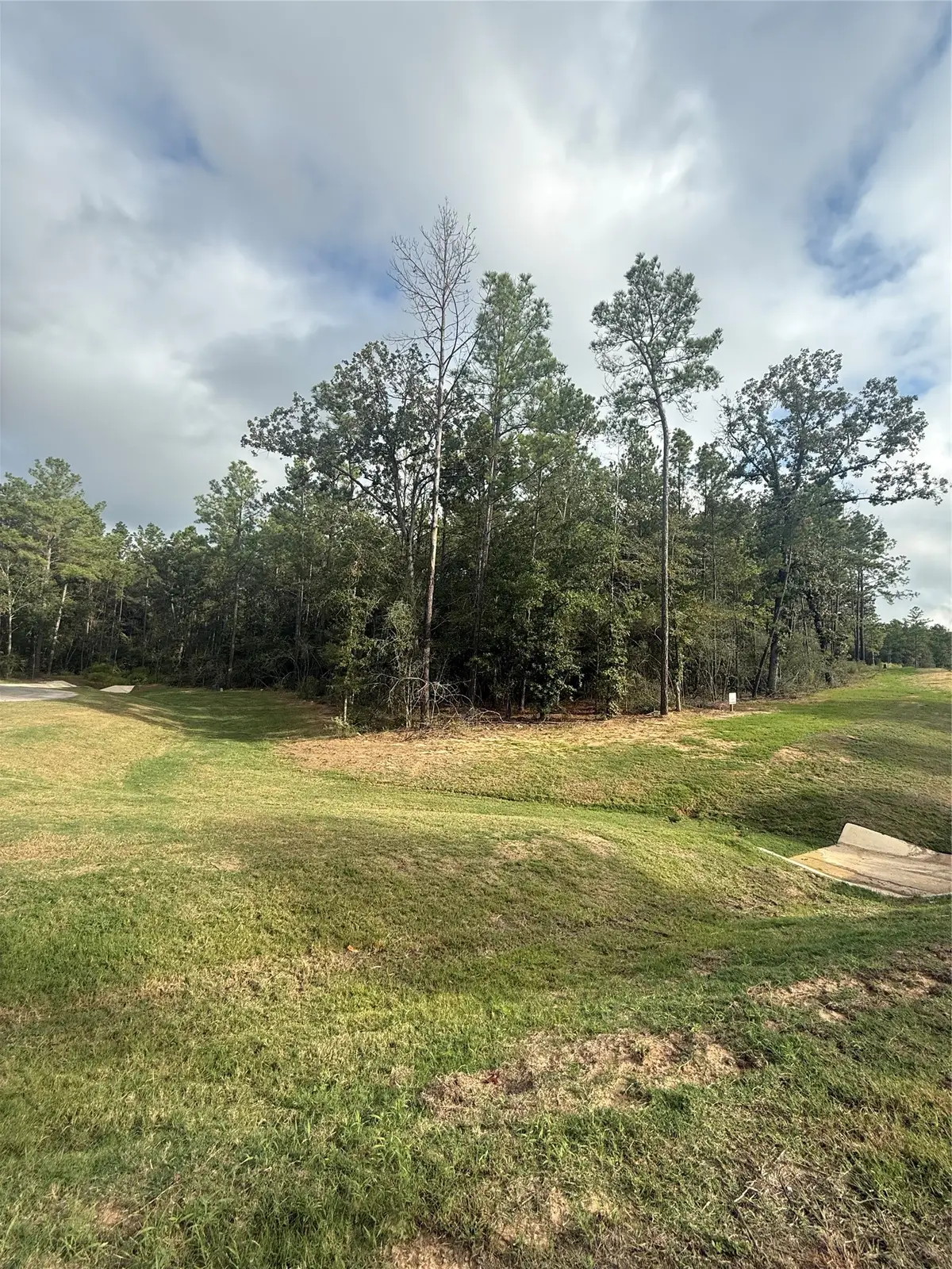 4511 Marfa Court, Montgomery, TX 77316 - #1