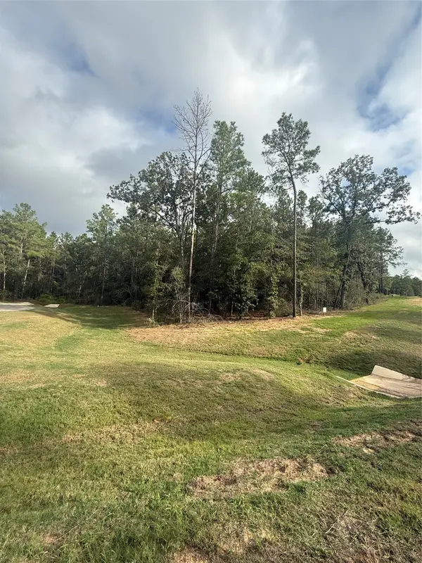 4511 Marfa Court, Montgomery, TX 77316