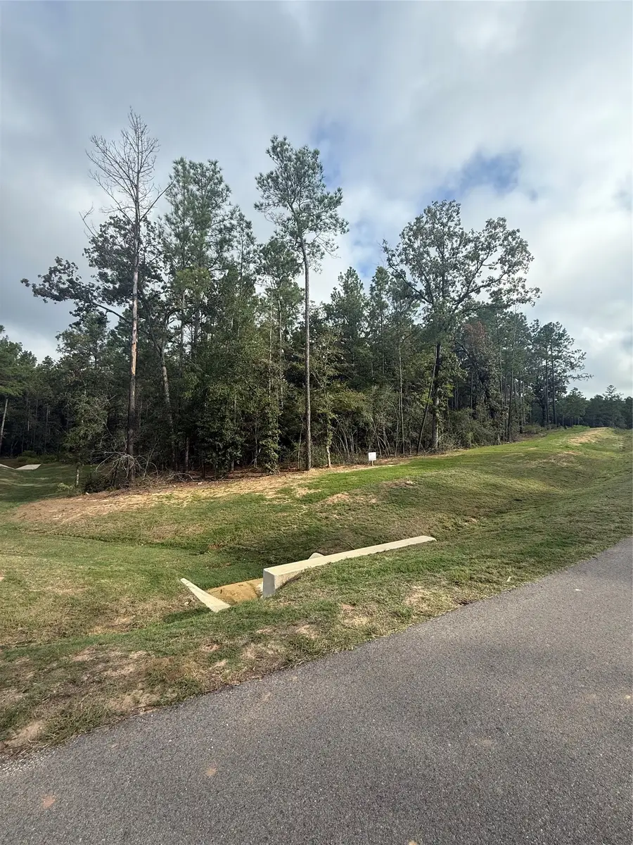 4511 Marfa Court, Montgomery, TX 77316 - #2