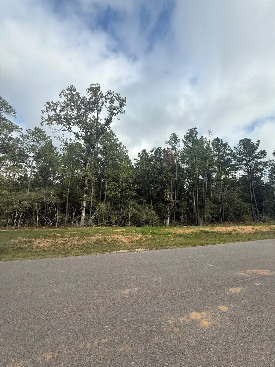 4511 Marfa Court, Montgomery, TX 77316 - #3