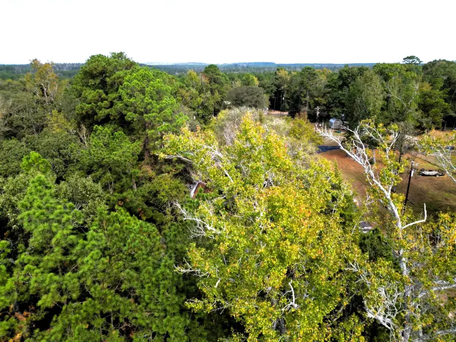 307 Cherokee Drive, Trinity, TX 75862 - #3