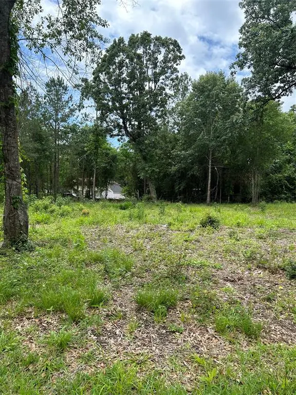 12 Timberglen, Livingston, TX 77351 - Image #3