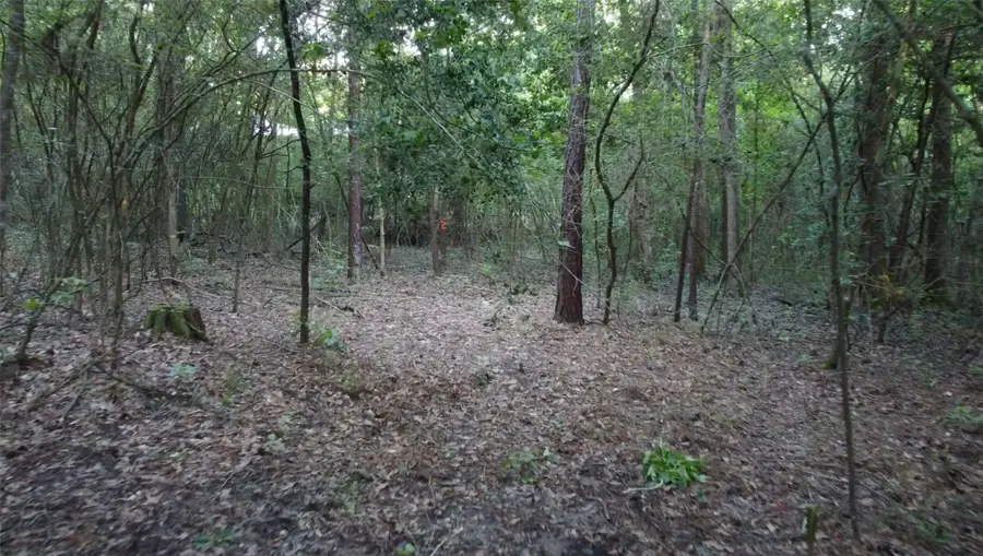 210 Red Hawk Road, Huntsville, TX 77340 - Image #3