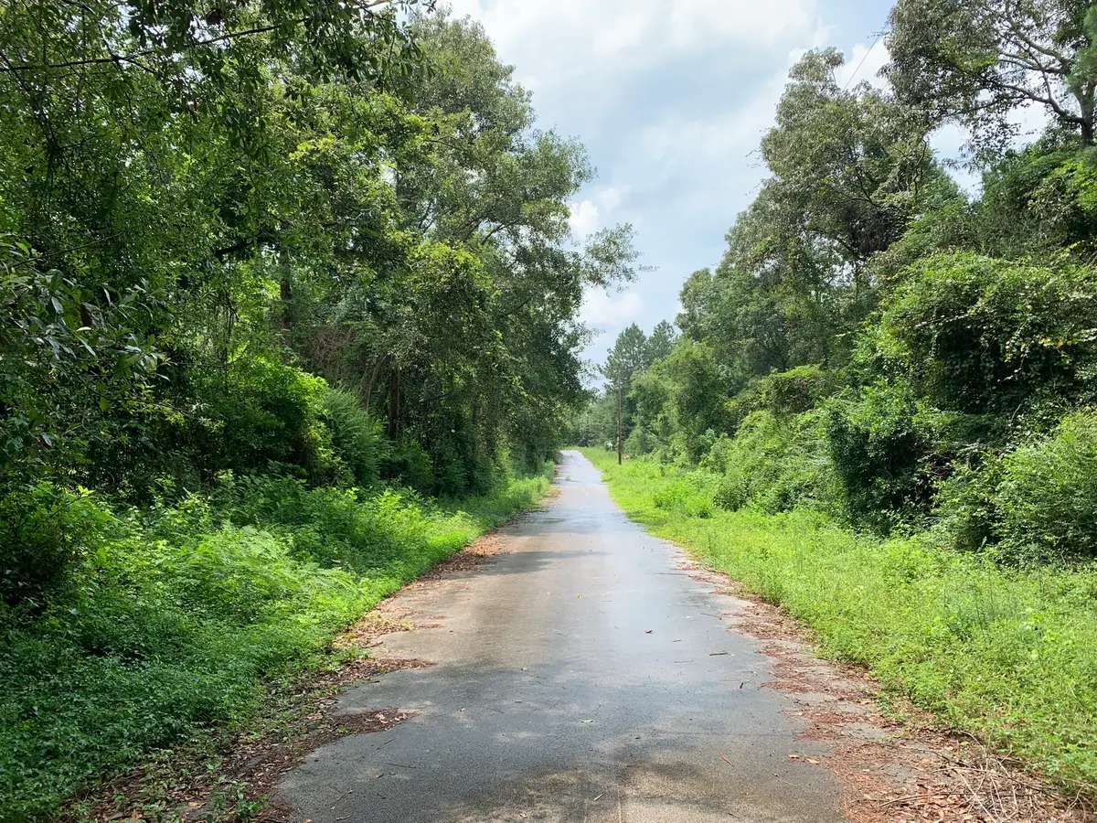 Lot 14 Bluebonnet Street, Newton, TX 75966 - #1