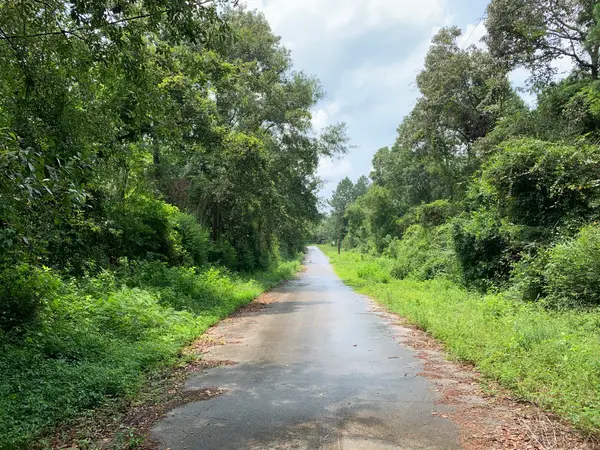 Lot 14 Bluebonnet Street, Newton, TX 75966