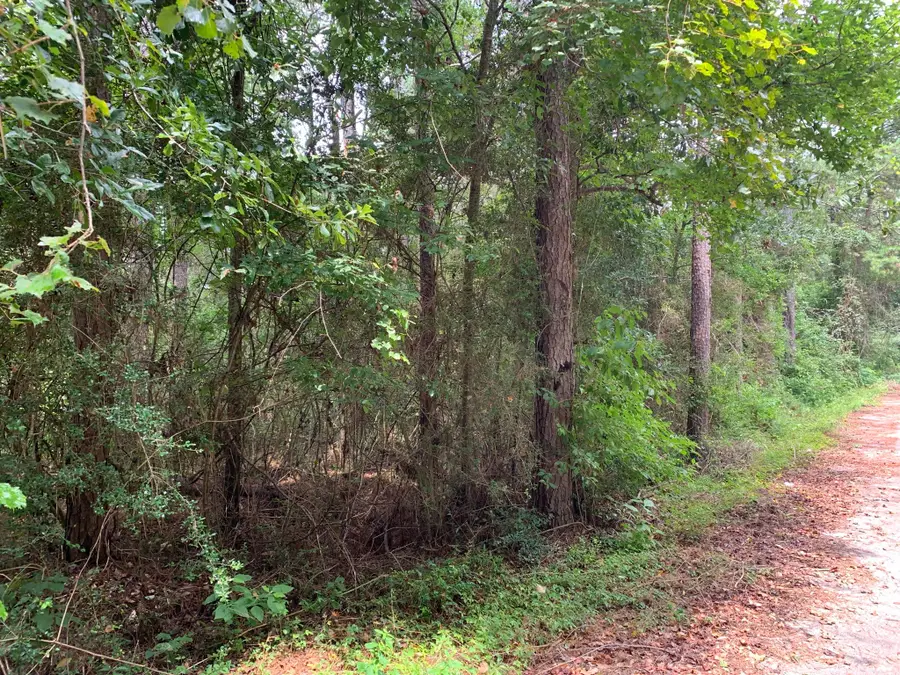 Lot 14 Bluebonnet Street, Newton, TX 75966 - #2