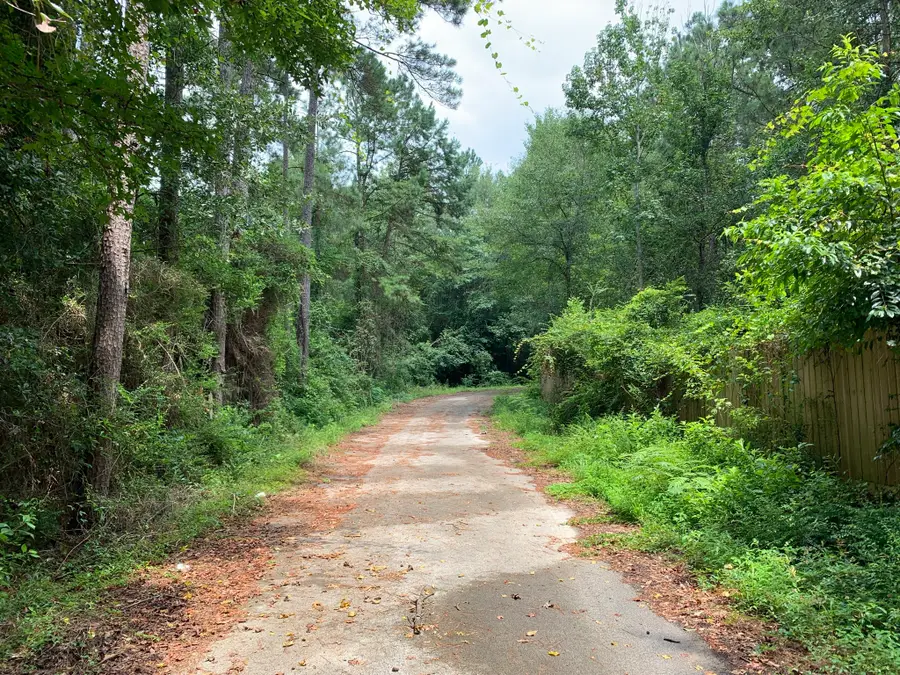 Lot 14 Bluebonnet Street, Newton, TX 75966 - #3