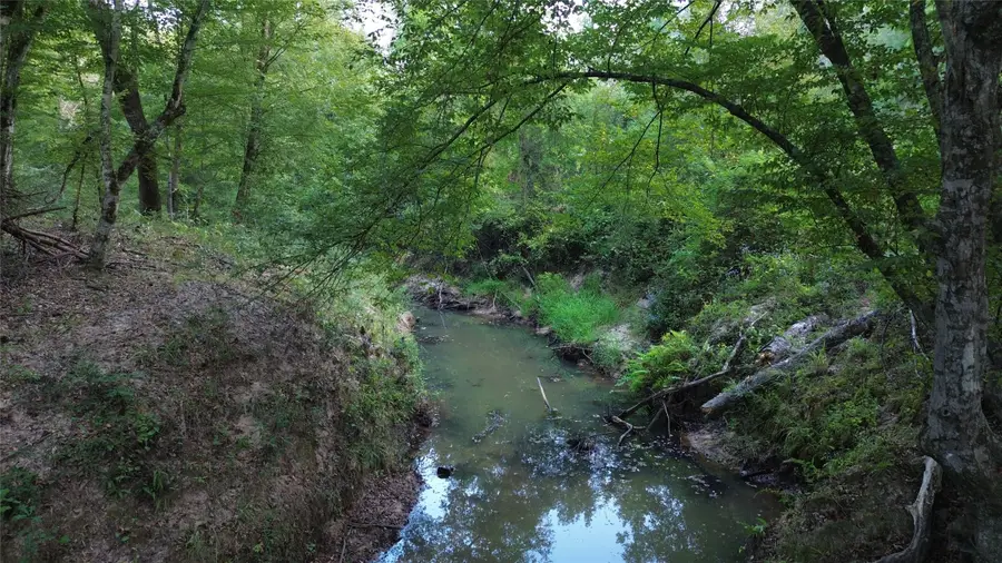 1324 County Road 4710, Kennard, TX 75847 - Image #3