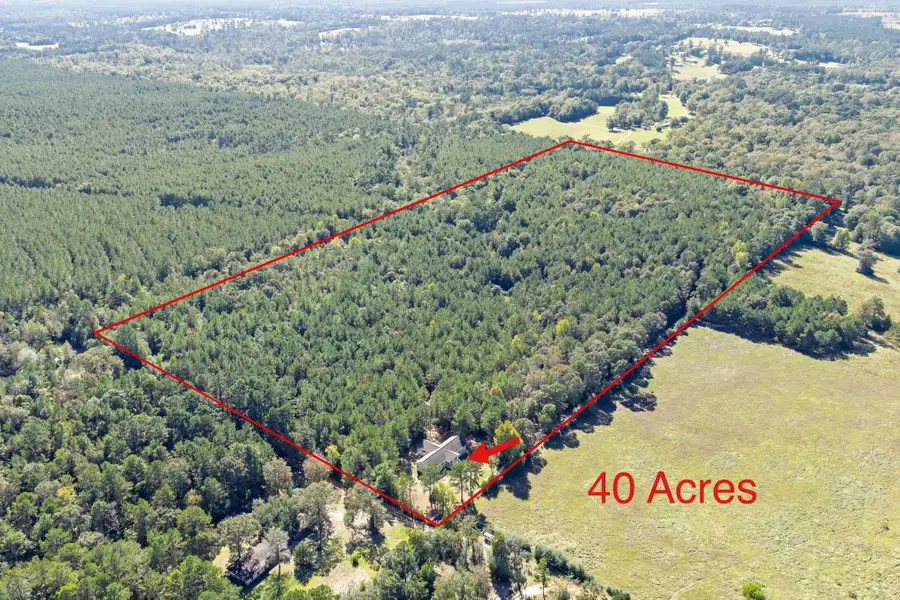 610 Private Road 5130, Woodville, TX 75979 - Image #2