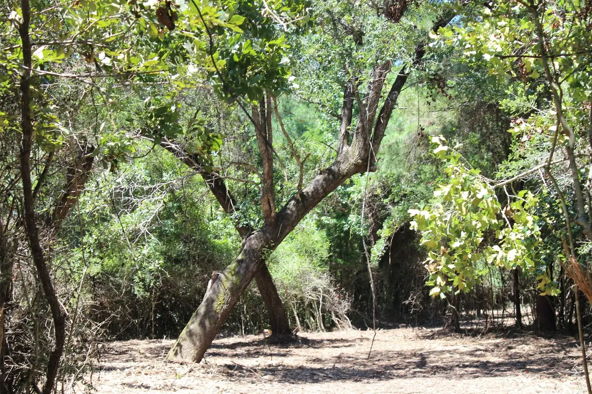 9417 County Road 114, Centerville, TX 75833 - Image #1