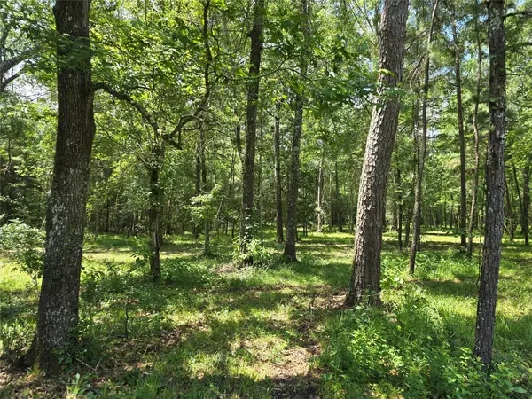 000 TBD Hwy 150 W, Coldspring, TX 77331