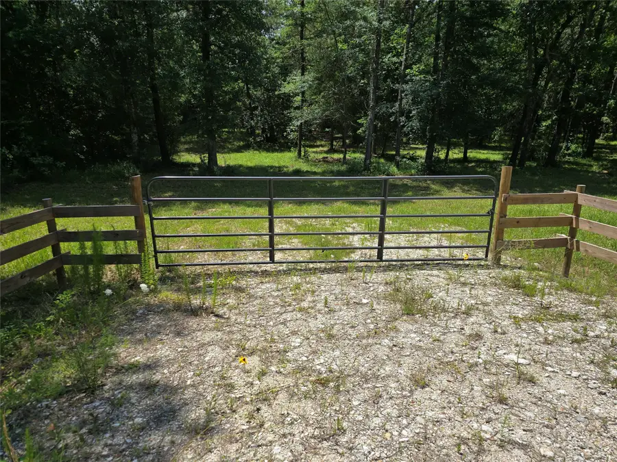 000 TBD Hwy 150 W, Coldspring, TX 77331 - #2