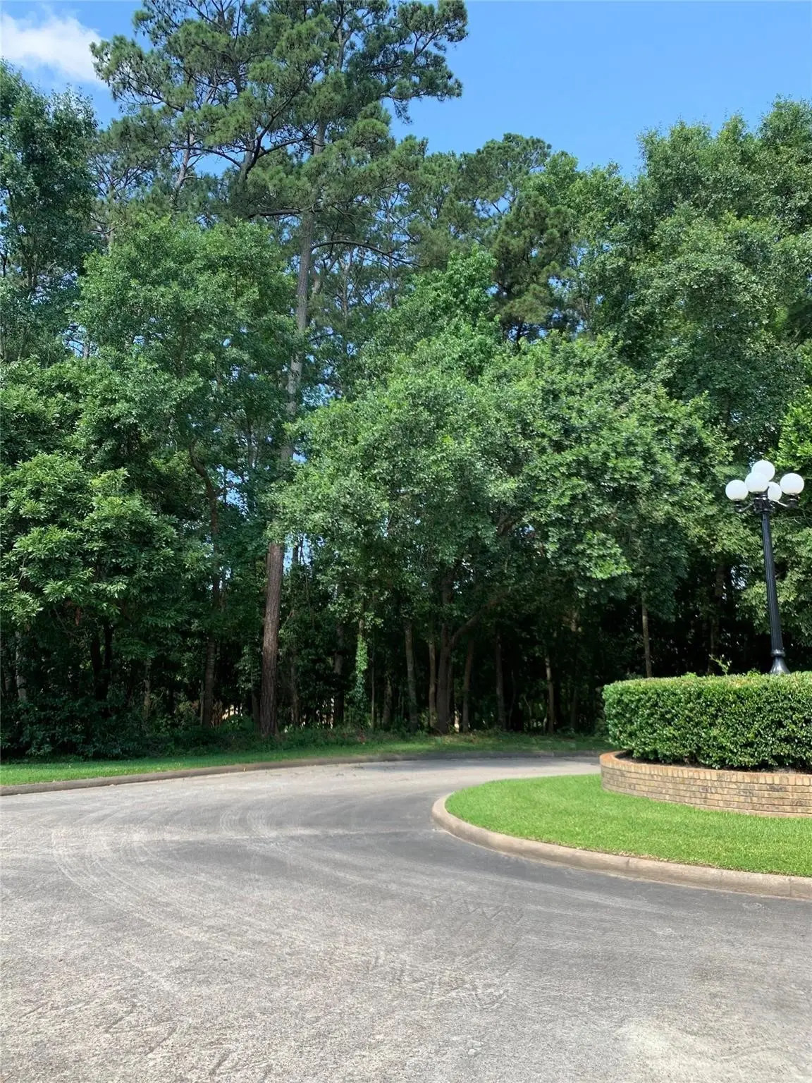 901 Longmire, Conroe, TX 77304 - #1