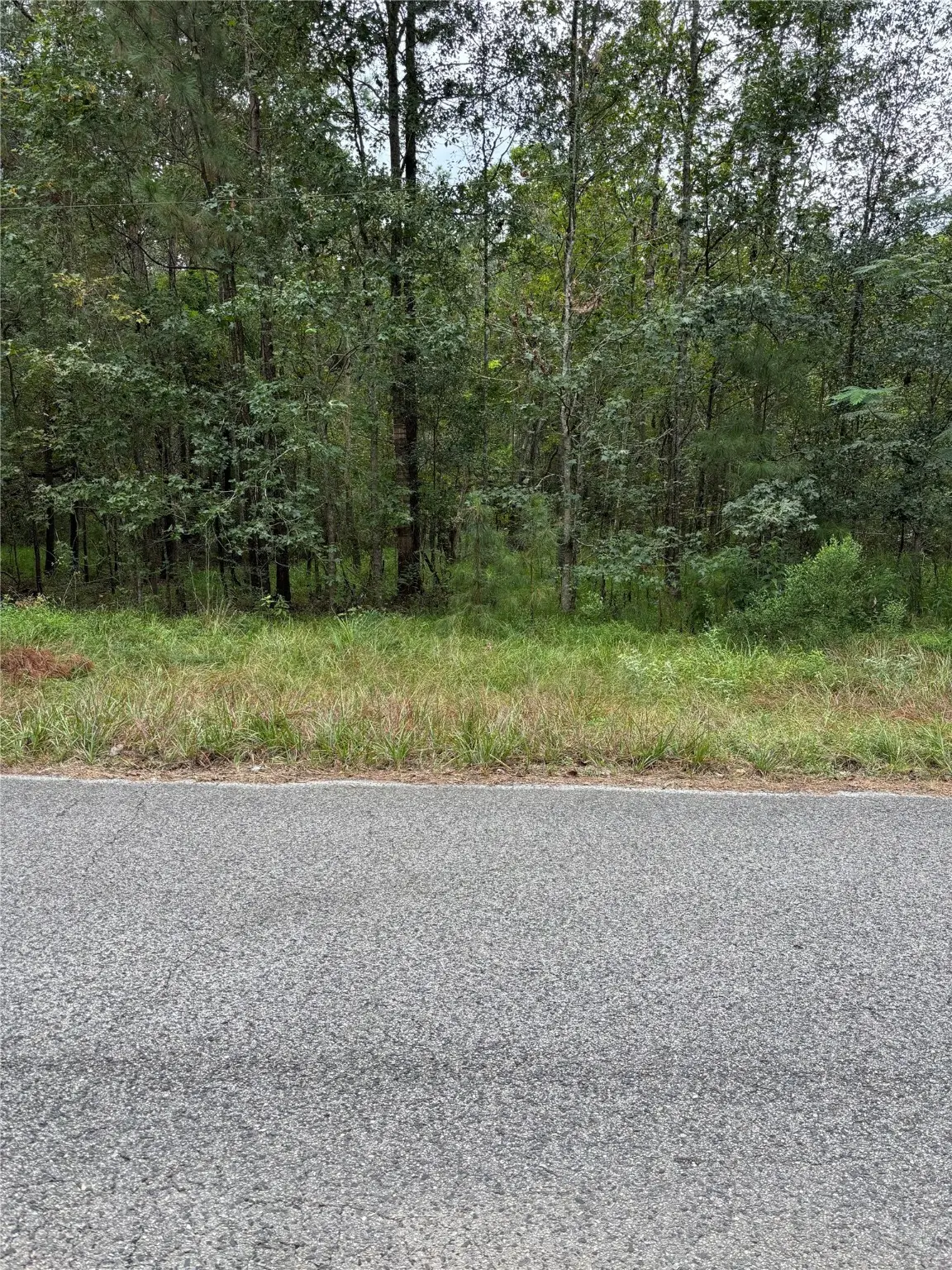 19722 Belle Isle Drive, Houston, TX 77338 - Image #1