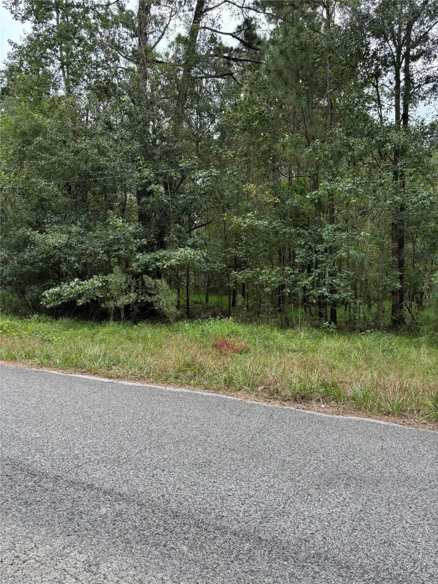 19722 Belle Isle Drive, Houston, TX 77338 - Image #2