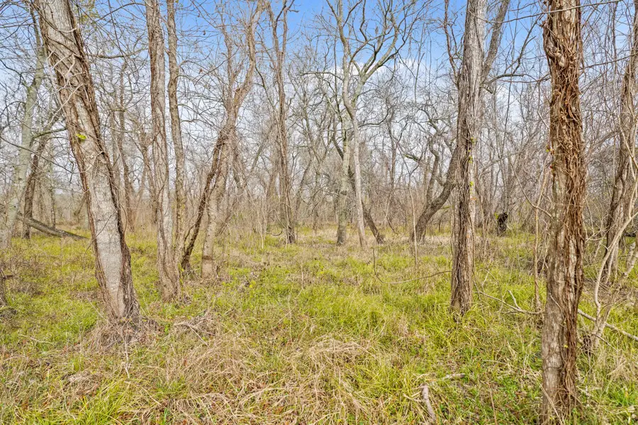 17502 Red Fork Drive, Rosharon, TX 77583 - Image #3