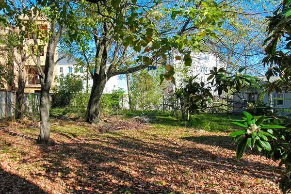 6100 Clarkson Lane, Houston, TX 77055