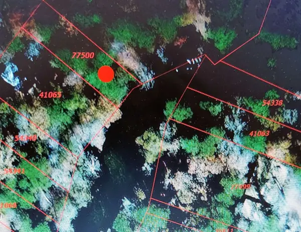 0 Sunset Drive, Livingston, TX 77351