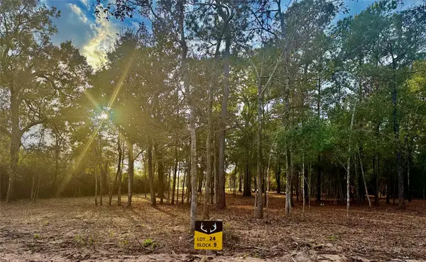 130 Whitetail Drive, Coldspring, TX 77331