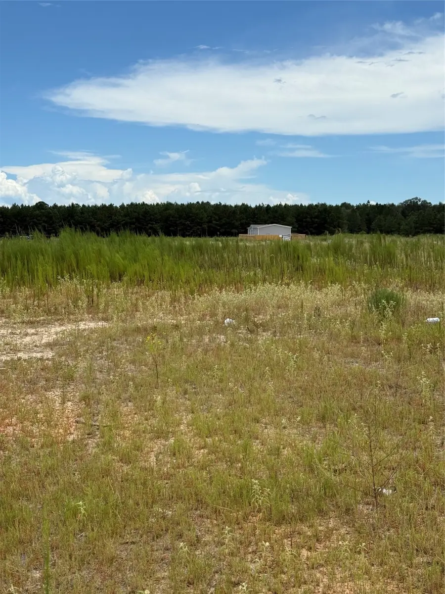 826 Road 591703, Cleveland, TX 77327 - #2