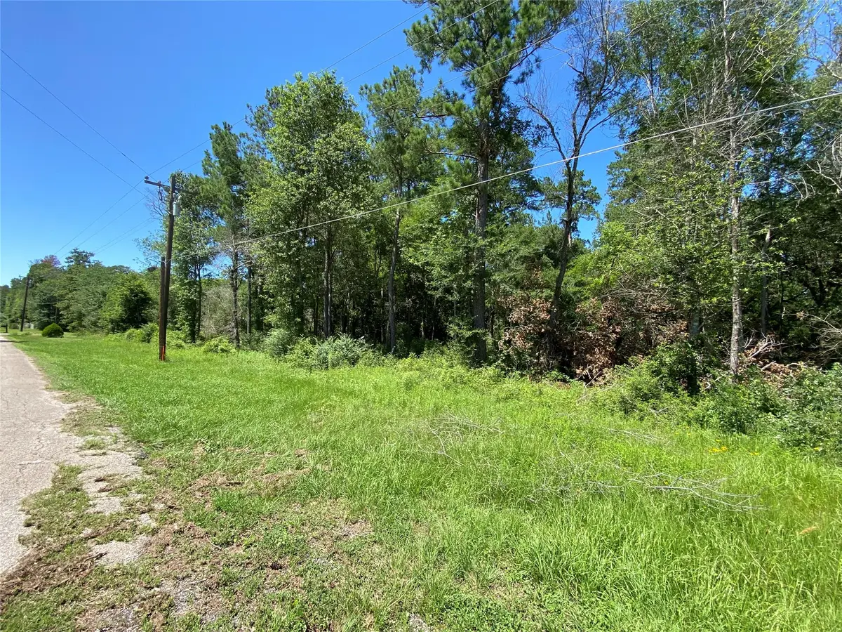 19725 W Lakeshore Drive, Magnolia, TX 77354 - #1