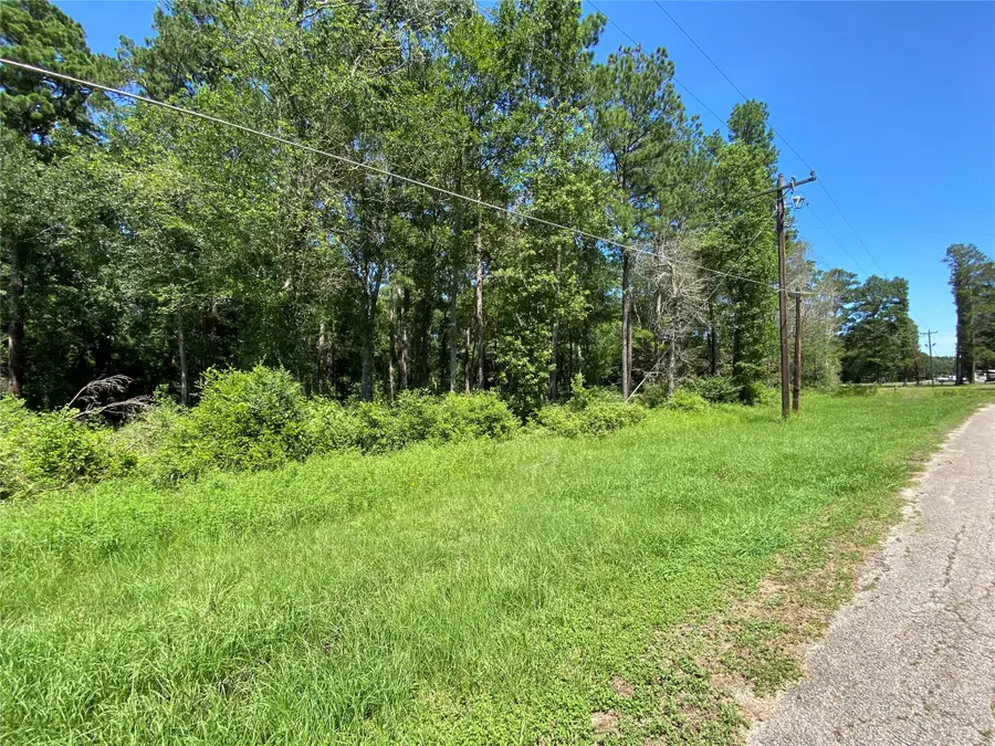 19725 W Lakeshore Drive, Magnolia, TX 77354 - #2