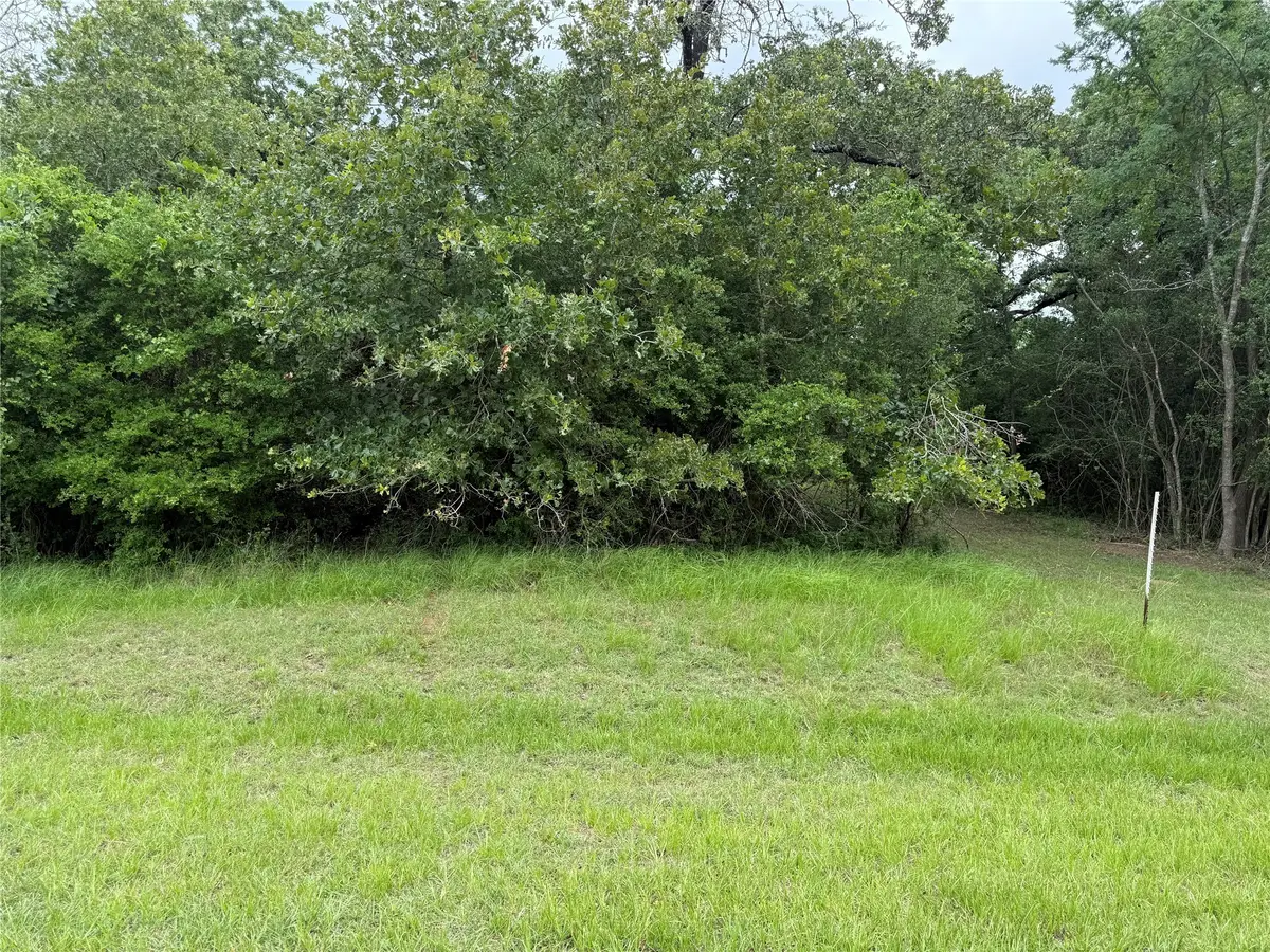 0 Well House Lane, Marquez, TX 77865 - Image #1