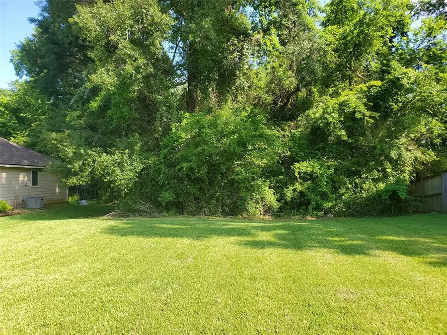 4832 Moonlight Drive, Willis, TX 77318 - Image #3