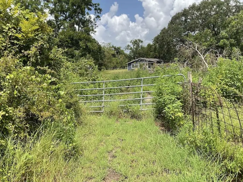 2832 County Road 310, Brazoria, TX 77422 - Image #1