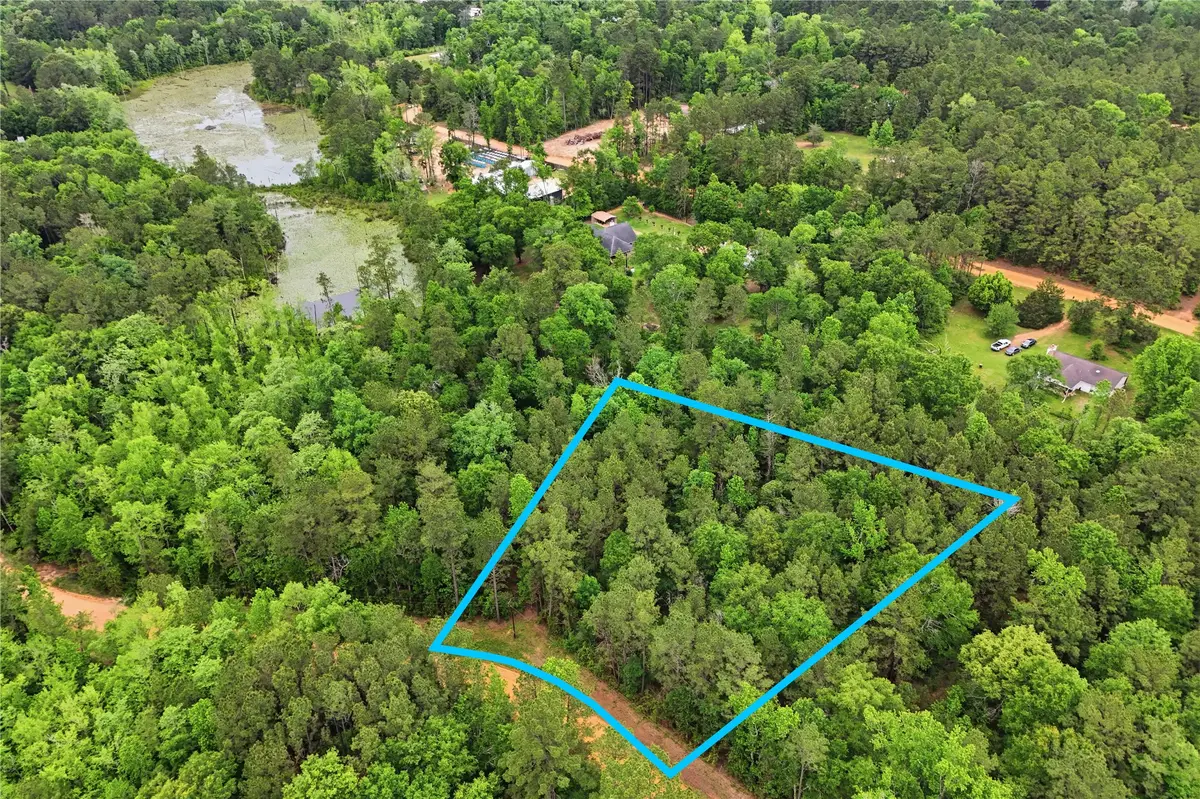 TBD2 Sandy Creek Road, Willis, TX 77378 - #1