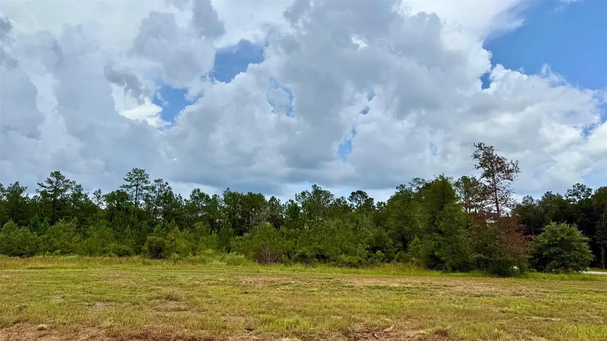 13190 Blackberry Drive, Lumberton, TX 77657 - #1