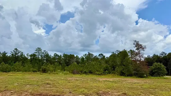 13190 Blackberry Drive, Lumberton, TX 77657