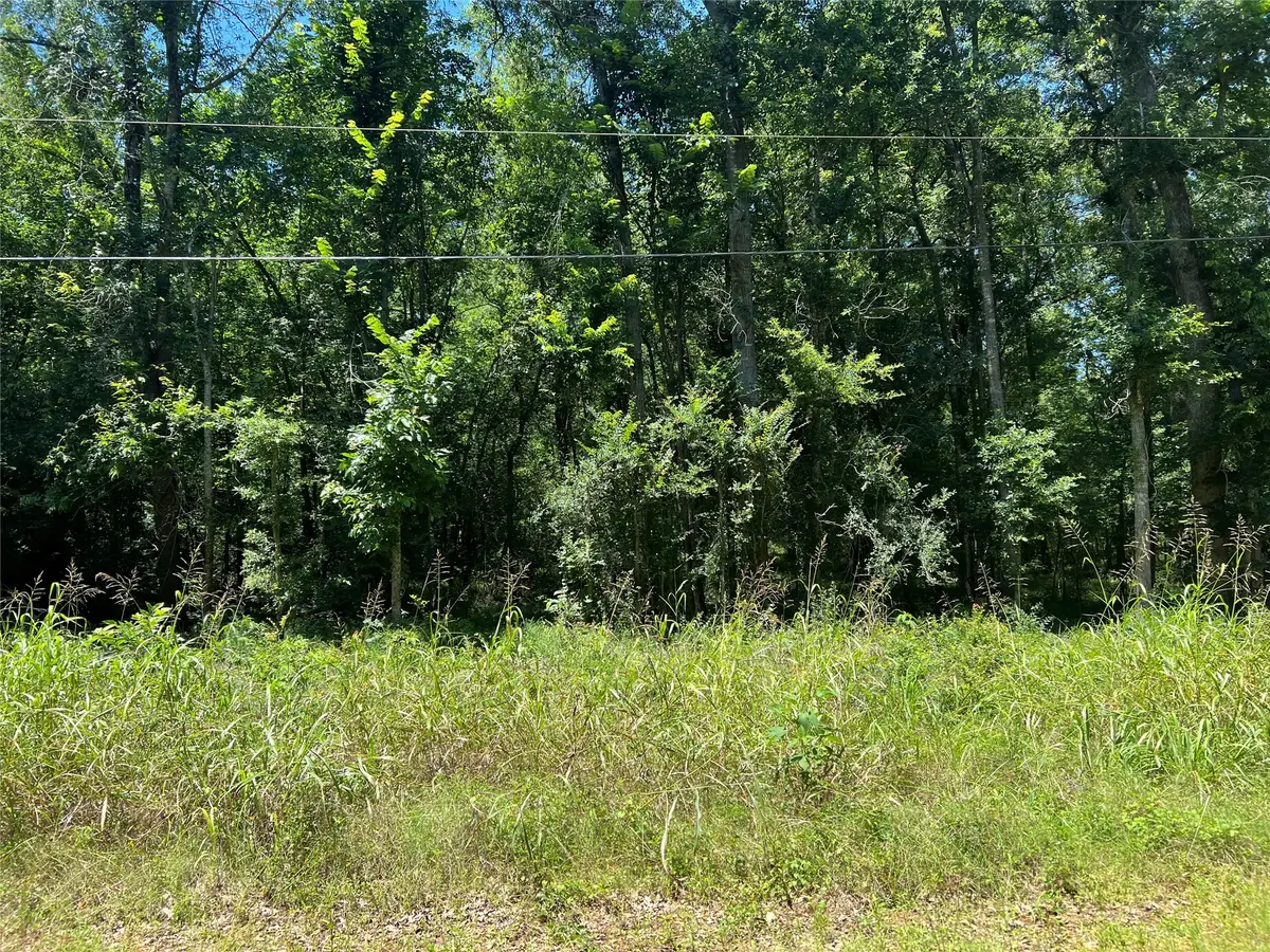 000 Holt Street, Coldspring, TX 77331 - #1