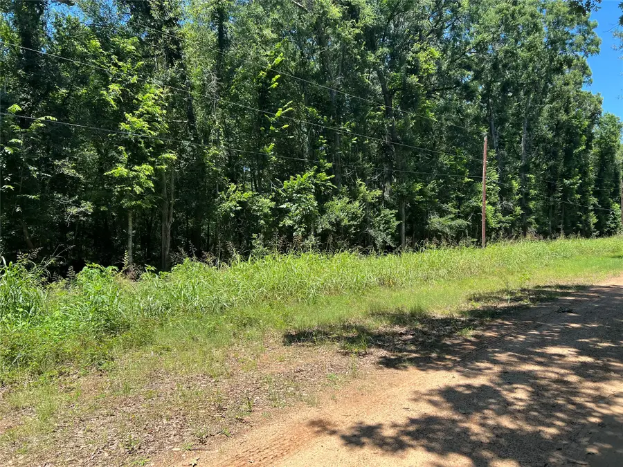 000 Holt Street, Coldspring, TX 77331 - #2