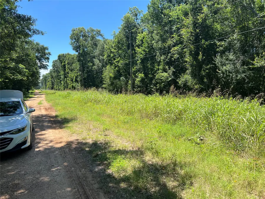 000 Holt Street, Coldspring, TX 77331 - #3