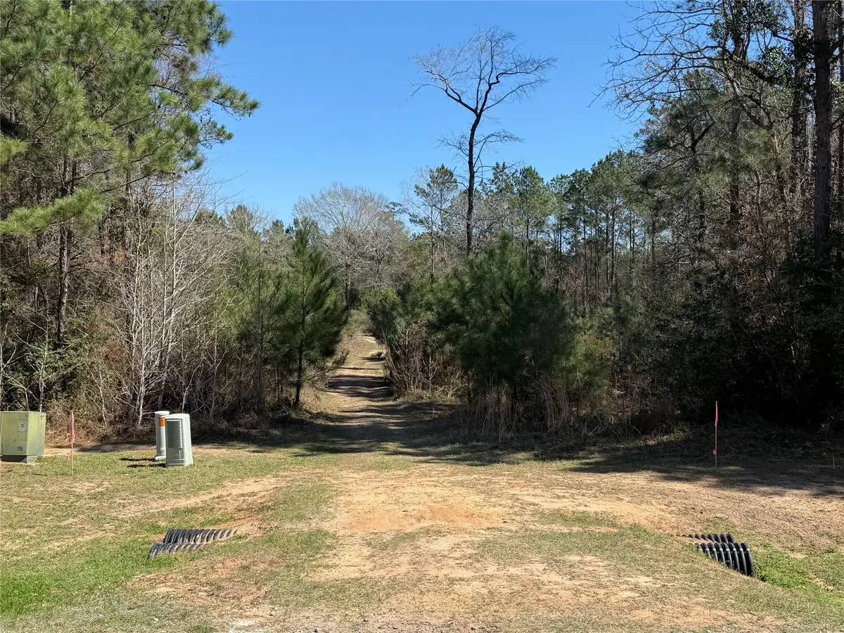 11604 Kirstens Court, Montgomery, TX 77316 - #1