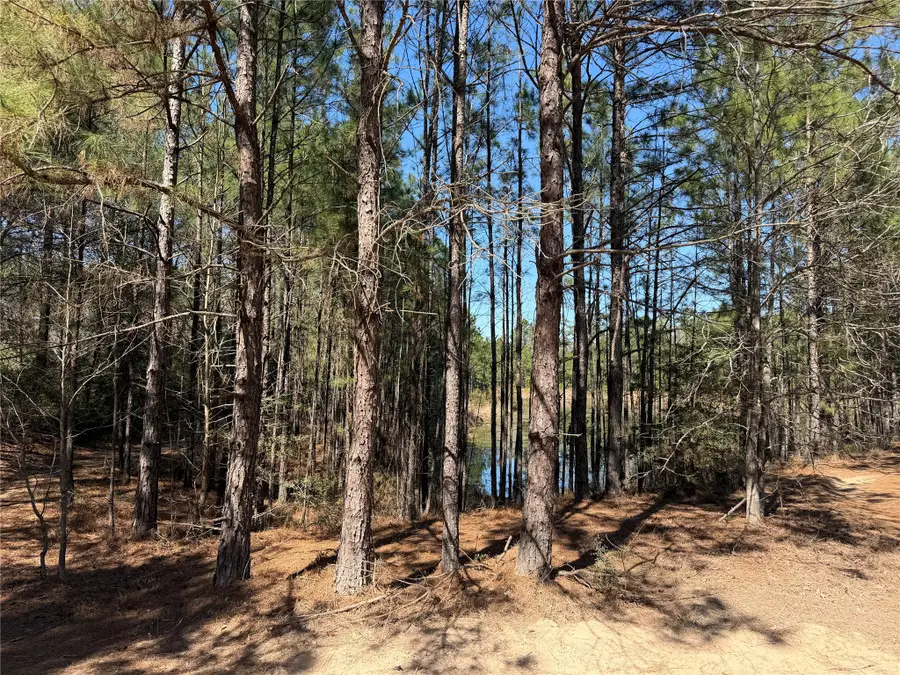 11604 Kirstens Court, Montgomery, TX 77316 - #3