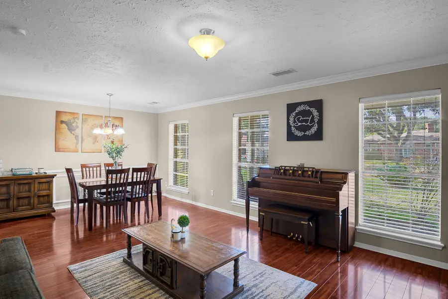 12007 Bloomington Lane, Meadows Place, TX 77477 - Image #3