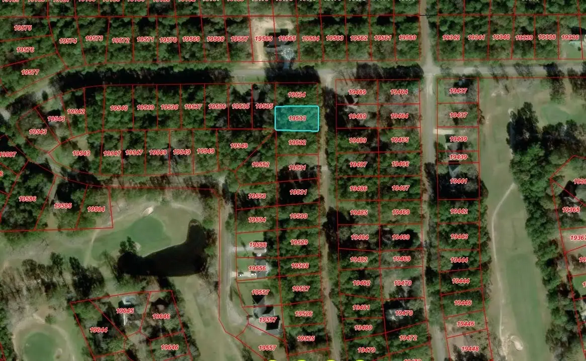 00000 W Wildwood Drive, Village Mills, TX 77663 - #1
