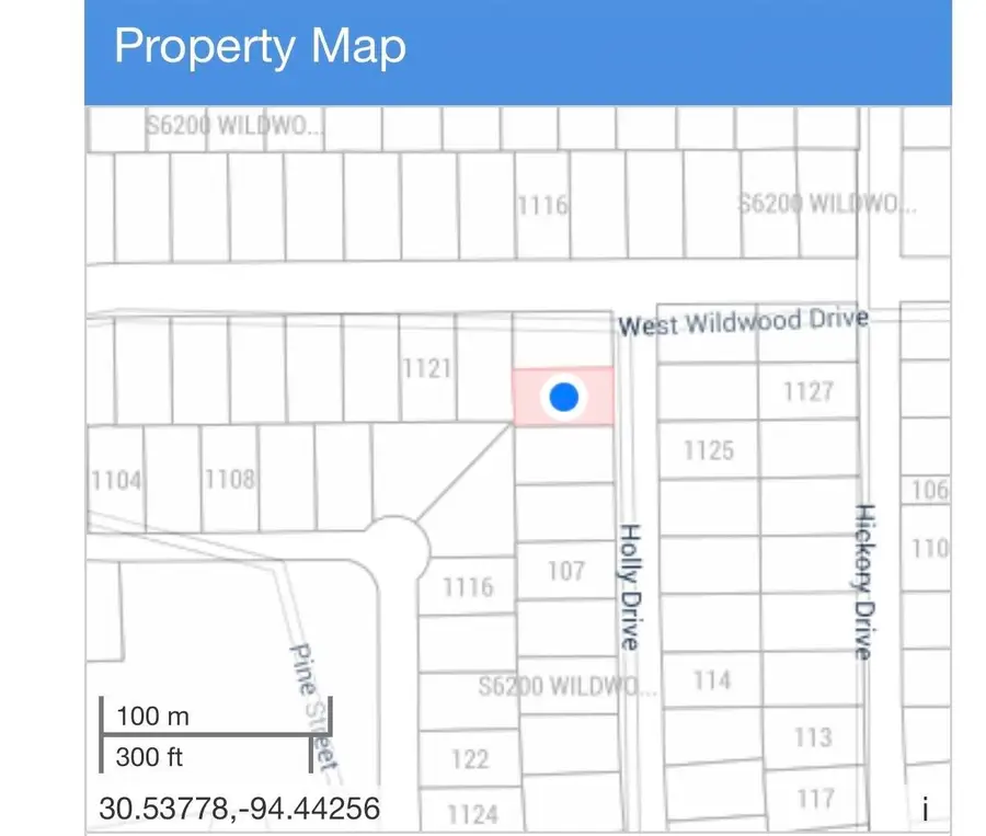 00000 W Wildwood Drive, Village Mills, TX 77663 - #3