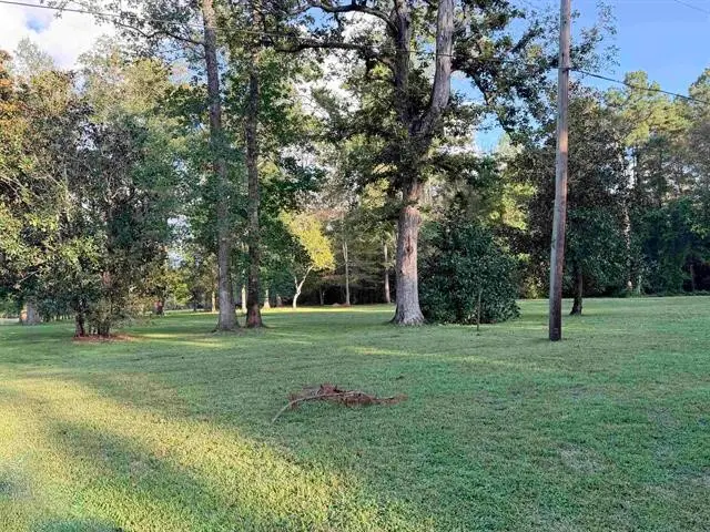 000 Roberts Road, Kountze, TX 77625 - #2