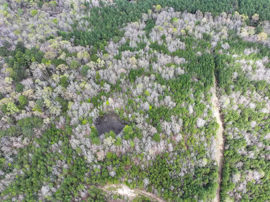 3 Eugene Walker Road, Huntington, TX 75980 - Image #2