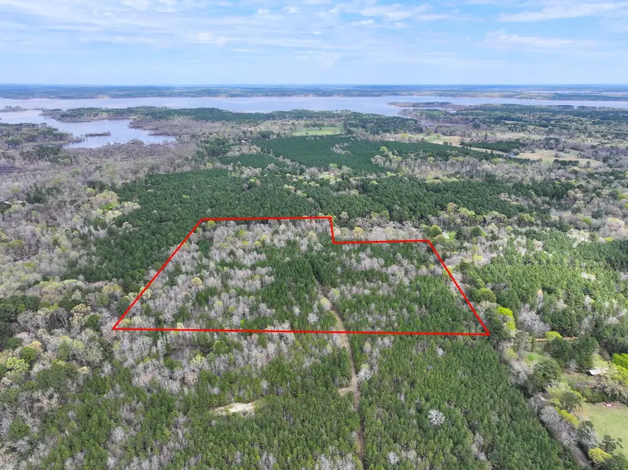 3 Eugene Walker Road, Huntington, TX 75980 - Image #3