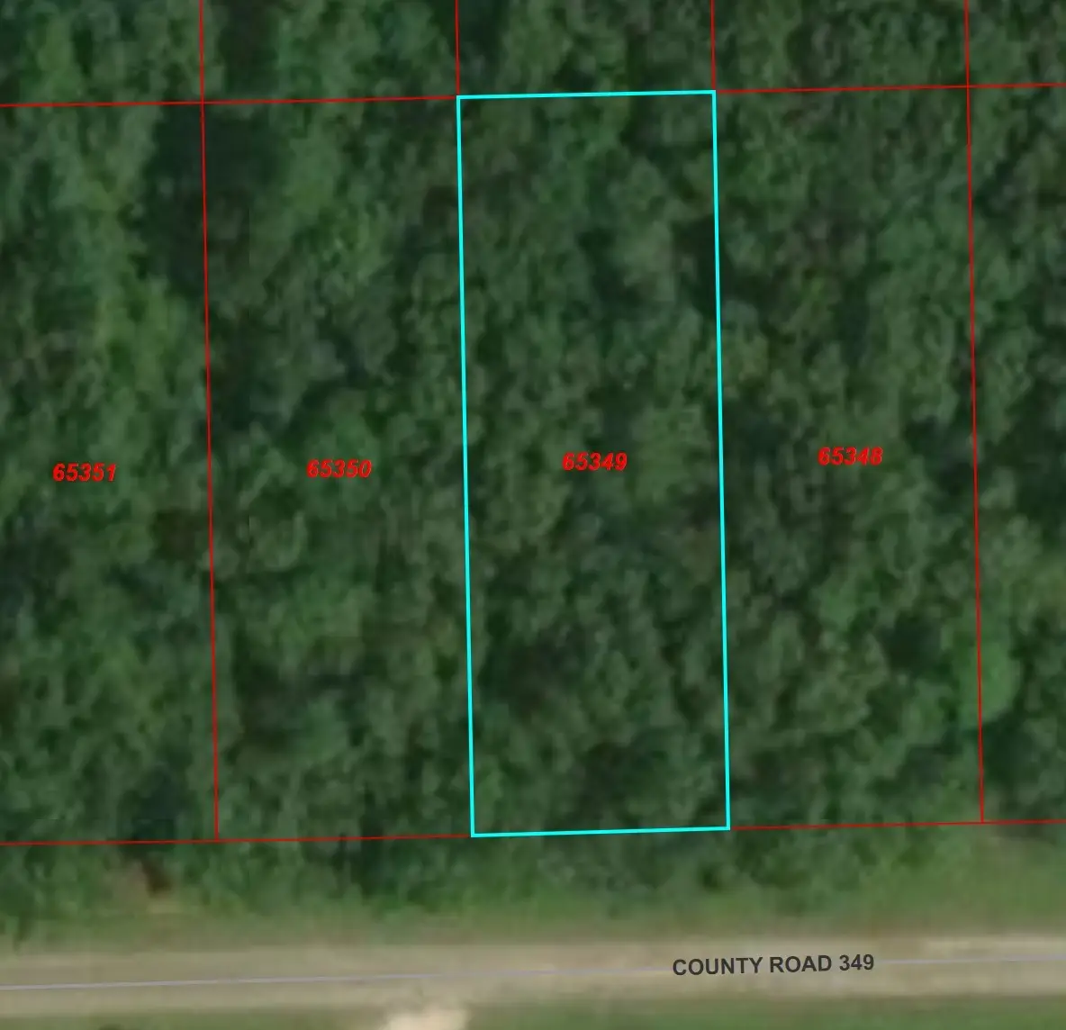 TBD County Rd 349, Cleveland, TX 77327 - #1