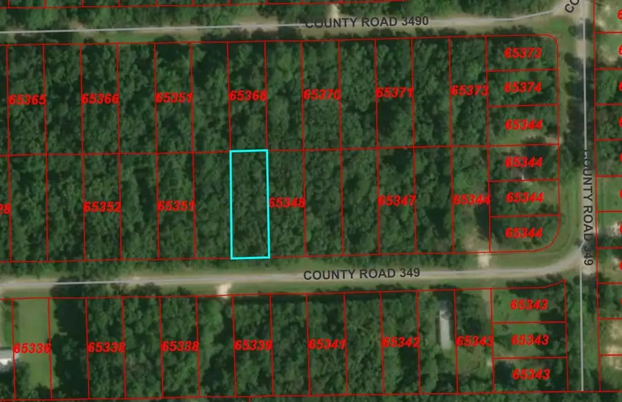 TBD County Rd 349, Cleveland, TX 77327 - #3