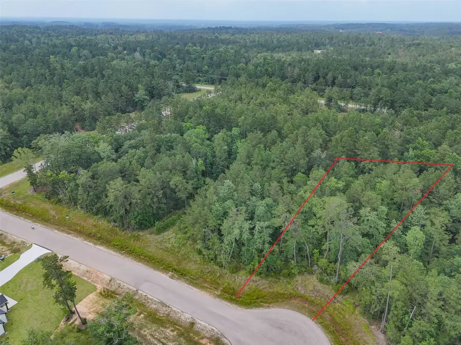 104 Eagle Run Road, Willis, TX 77378 - #2