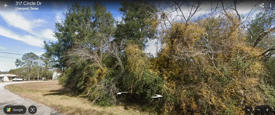 TBD Circle Drive, Liverpool, TX 77577 - Image #2