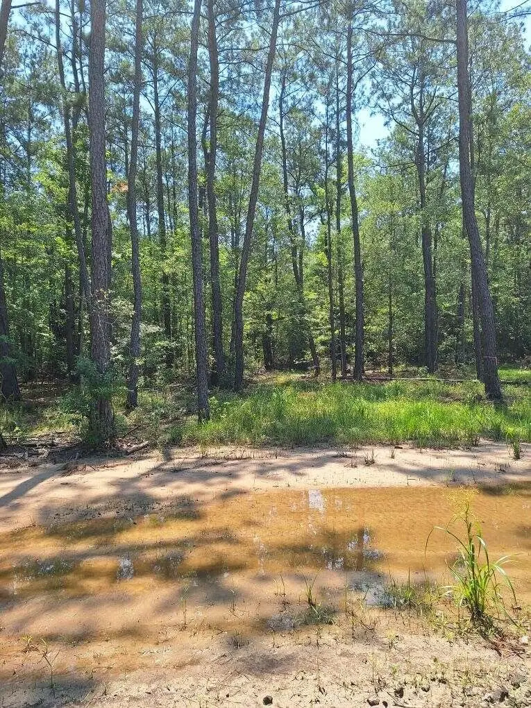 6801 Private Road 8235, Buna, TX 77612 - Image #2