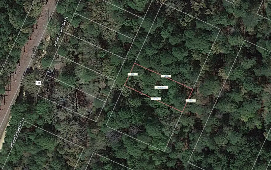 0 NE Calhoun 116, Hampton, Ar 71744 - #2